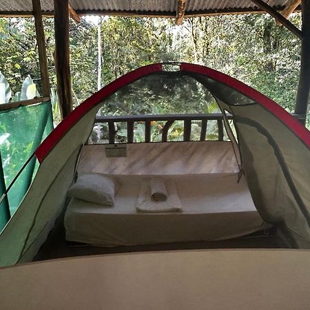Rio Agujitas Eco Farm Hostel And Tours Drakes Bay Dış mekan fotoğraf