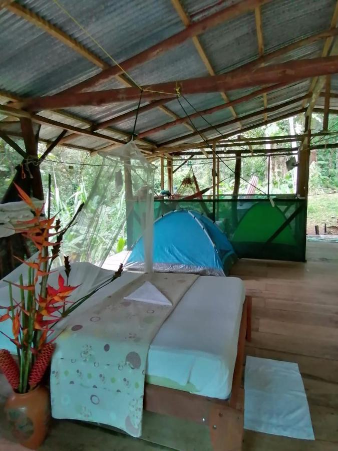 Rio Agujitas Eco Farm Hostel And Tours Drakes Bay Dış mekan fotoğraf