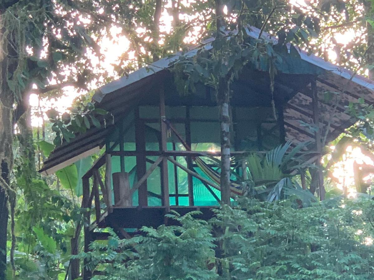 Rio Agujitas Eco Farm Hostel And Tours Drakes Bay Dış mekan fotoğraf