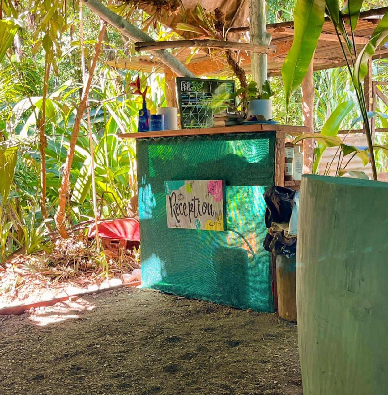 Rio Agujitas Eco Farm Hostel And Tours Drakes Bay Dış mekan fotoğraf